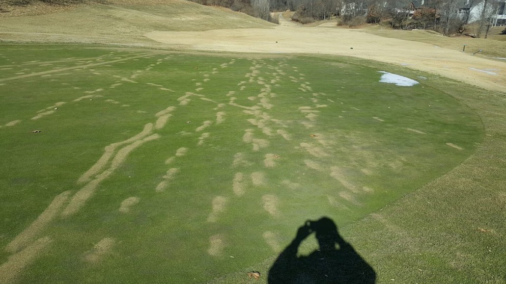 Frost And Its Effects On Bentgrass Greens Riverside Golf Links Frost And Its Effects On Bentgrass Greens Riverside Golf Links